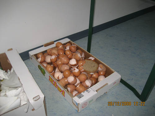 DSC_20081228_122206_L.jpg