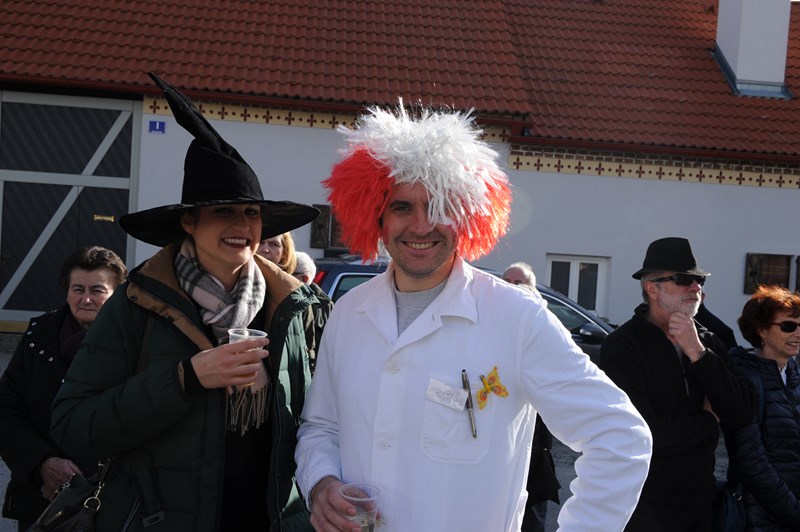 Fasching_20140301_042_800x532.JPG