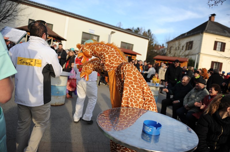 Fasching_20140301_090_800x532.JPG