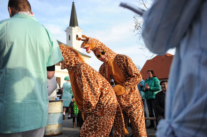 Fasching_20140301_091_800x532.JPG