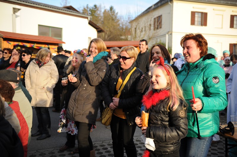 Fasching_20140301_108_800x532.JPG