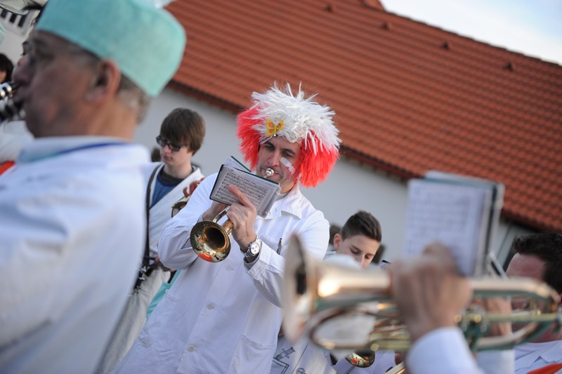 Fasching_20140301_128_800x532.JPG